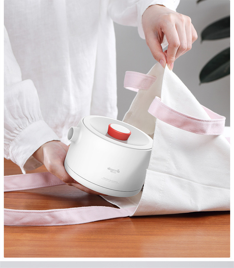 Deerma Portable Electric Kettl – Women Bags Under 500 recenzja i cena