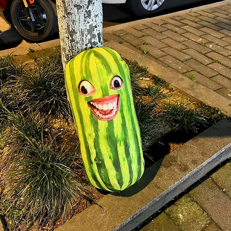 Funny Watermelon Strips Plush  – Women Bags Polene recenzja i cena