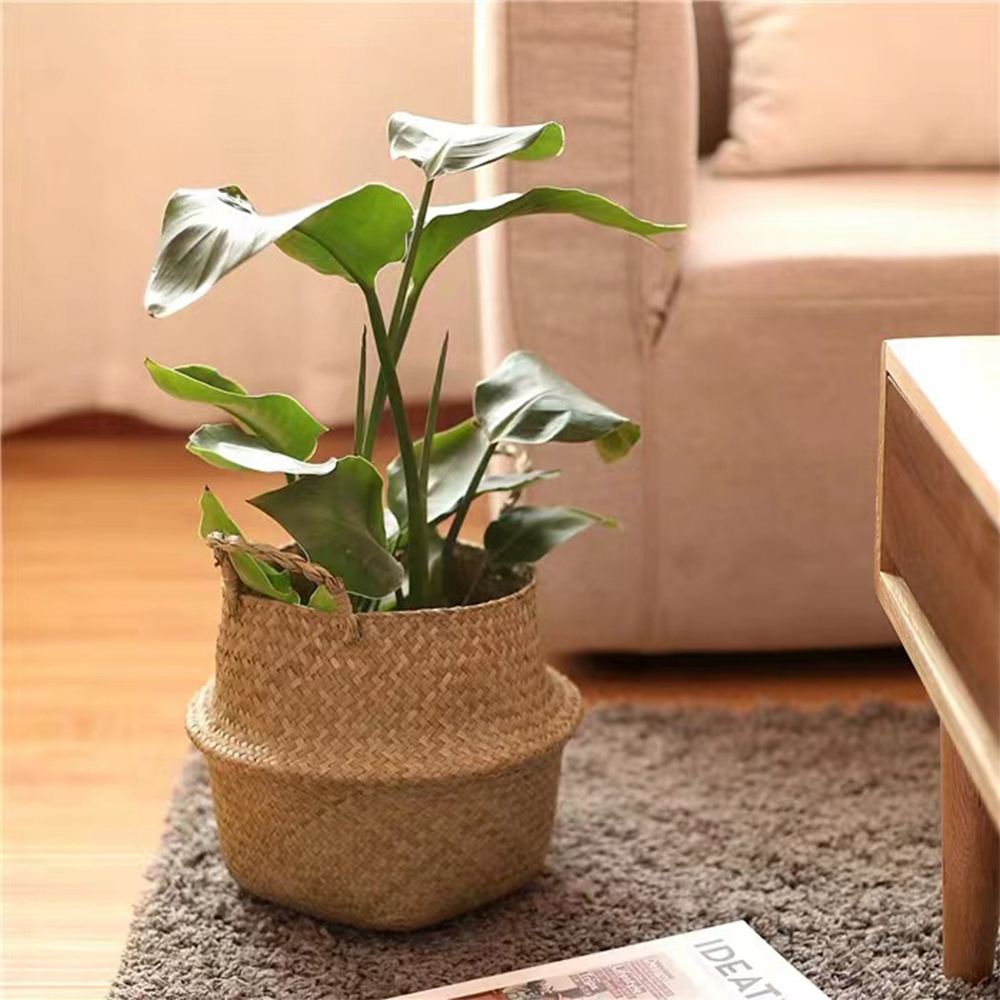 Plant Basket with Handles Wick – Basket Bag Wicker recenzja i cena