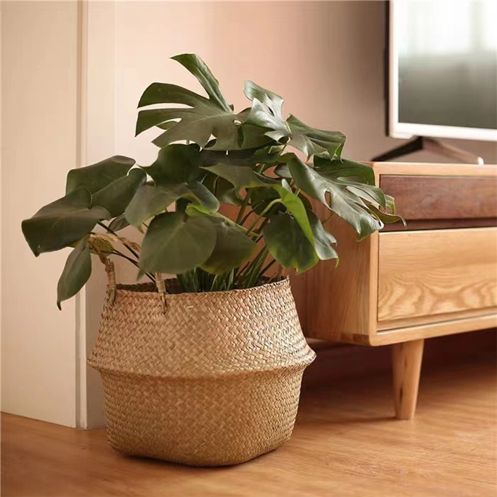 Plant Basket with Handles Wick – Basket Bag Wicker recenzja i cena